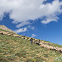 Karlar eridi Tunceli yeşile büründü: Kentin doğal güzellikleri hayran bırakıyor