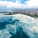 Bakan Kurum: Müsilajın tehlikeli atık olmadığını tespit ettik