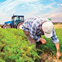 Çiftçinin borçları için faizsiz yapılandırma talebi
