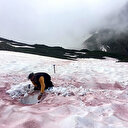 Alpler’de kırmızı kar görüldü: Mikroalglerin çoğalmasıyla ortaya çıkıyor