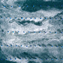 Çanakkale Boğazı'nda müsilaj yoğunluğu sürüyor