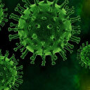 Hindistan'da Delta Plus koronavirüs mutasyonun vakaları 40'a yükseldi