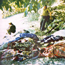 Suikast ve katliamlar yılı: 1993