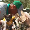 Böyle vicdansızlık görülmedi: Kedi yavrusunu çöpe atmışlar