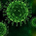 'Delta Plus' varyantı nedir? 5 soruda Kovid-19'un 'Delta' ve 'Delta Plus' varyantına ilişkin merak edilenler