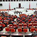 Hayvanları Koruma Kanunu teklifi TBMM Genel Kurulu'nda kabul edildi