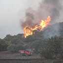 Manisa'da 6 farklı noktada çıkan orman yangınında 'sabotaj' şüphesi
