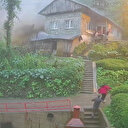 Rize'de sel sonrası heyelan: Ölümden kıl payı kurtuluş kamerada