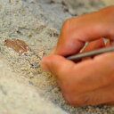 Heyelan sonrası bölgede gezen çoban buldu:  Bursa'da heyecana yol açan keşif