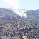 İzmir'in Kiraz ilçesinde ormanlık alanda yangın çıktı