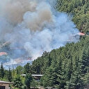 Konya'da yangın ormanlık alana sıçramadan söndürüldü