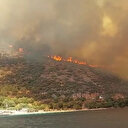 Bodrum'daki yangın kısa sürede büyüdü: Otel ve evler boşaltılıyor