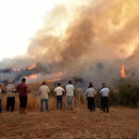 Adana’daki orman yangınları 4'üncü günde: Alevler kısmen kontrol altında