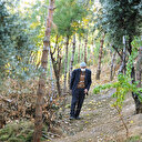 Dört dörtlük orman sevdalıları