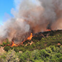 Denizli'de çıkan orman yangınına müdahale ediliyor