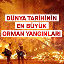 Dünya yangın yeri