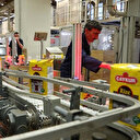 ÇAYKUR selden etkilenen dört fabrikasında üretime başladı