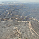 Manavgat'ta orman yangınını başlatan 16 yaşındaki zanlı tutuklandı