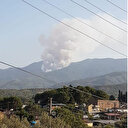 Bir orman yangını da Karacasu'da