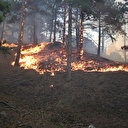 Mehmetçik görevlendirildi: Milli Savunma Bakanlığı'ndan Isparta ve Denizli'deki orman yangına destek