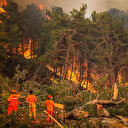 Manavgat'taki büyük yangın 8'inci gününde: Yılkı atları da tehlikede
