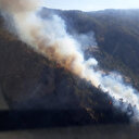 Aydın'da orman yangını: Yoğun mücadeleler sonrası kontrol altına alındı