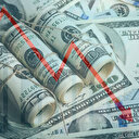 Faiz kararı sonrası dolar düşüşe geçti