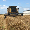 Türkiye Sudan’da tarım yapacak