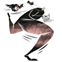 Dijital evrende hakikati okumak