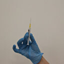 TURKOVAC son durum: TURKOVAC aşısı ne zaman çıkacak?