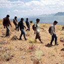 Meksika Afgan mültecileri kabul edecek