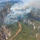 Muğla Köyceğiz'de orman yangını