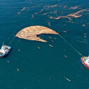 Selde denize sürüklenen tomruklar temizlenmeye başladı