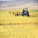 Salgında 19,5 milyar dolar gıda ihracatı