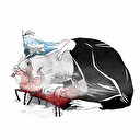 Malazgirt mağrur olana değil, tevazu sahibine bahşedildi