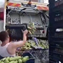 İstanbul'da halde kasa kasa kabak çöpe atıldı