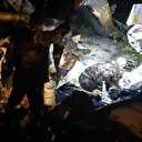 Rusya’da yolcu uçağı sert iniş yaptı: Dört ölü