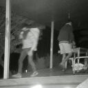 Yanan ormanlar için toplanan tohumlar çalındı: Hırsızlar fotokapana yansıdı