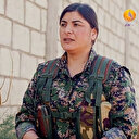 Mimarlar Odası'ndan PKK kanalına ödül
