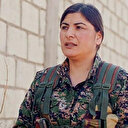 TMMOB’den PKK kanalına basın ödülü