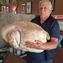 Ağırlığı 20 kilogramın üstünde: Mersin'de dev mantar bulundu