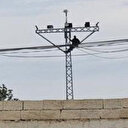 Atlamak için direğe çıktı: Valinin gelmeyeceğini öğrenince inip işine devam etti