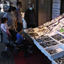 Karadeniz'de hamsi bolluğu: Fiyatı yarıya düştü