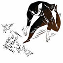 İran’ın Türk gücü korkusu