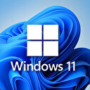 Windows 11 Görev Yöneticisi sitelerin sistem kaynağı kullanımını gösteriyor