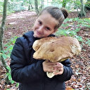 Mantar avcısı: Minik kız iki kiloluk dev mantar buldu