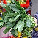 Giresun Sağlık İl Müdürü Muhammet Bulut: Zehirli olan ıspanak değil