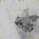 Irak'ın kuzeyindeki Zap bölgesinde 2 PKK’lı terörist etkisiz hale getirildi