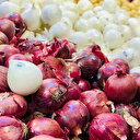 ABD'de yeni salgın şoku: Soğanlarınızı hemen çöpe atın