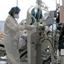 Türkiye'nin 2 Kasım koronavirüs tablosu açıklandı: Bakan Koca 'Fark 11 puan' diyerek uyardı